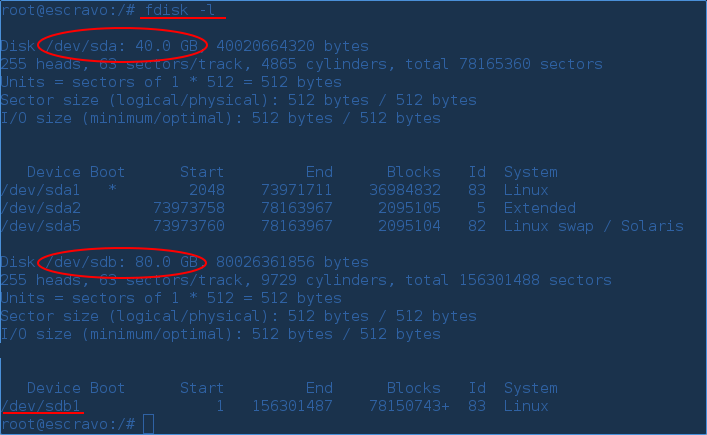 fdisk_l